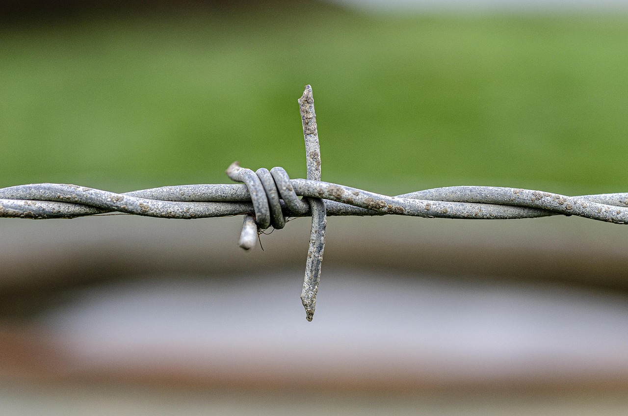 极光世界：美食试吃购买平台