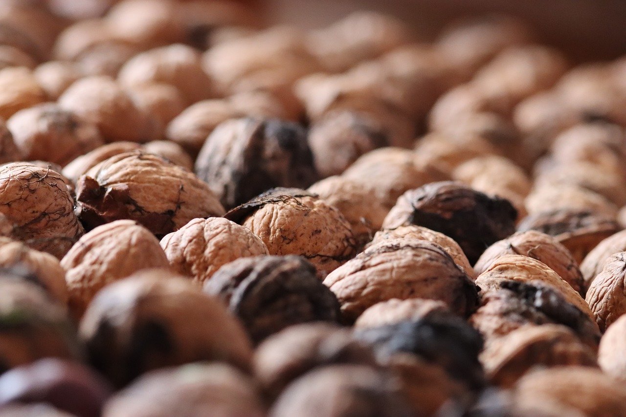 郑州讯捷实名账号：代理注册公司后果