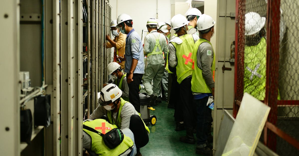 自信猫app详情下载教程