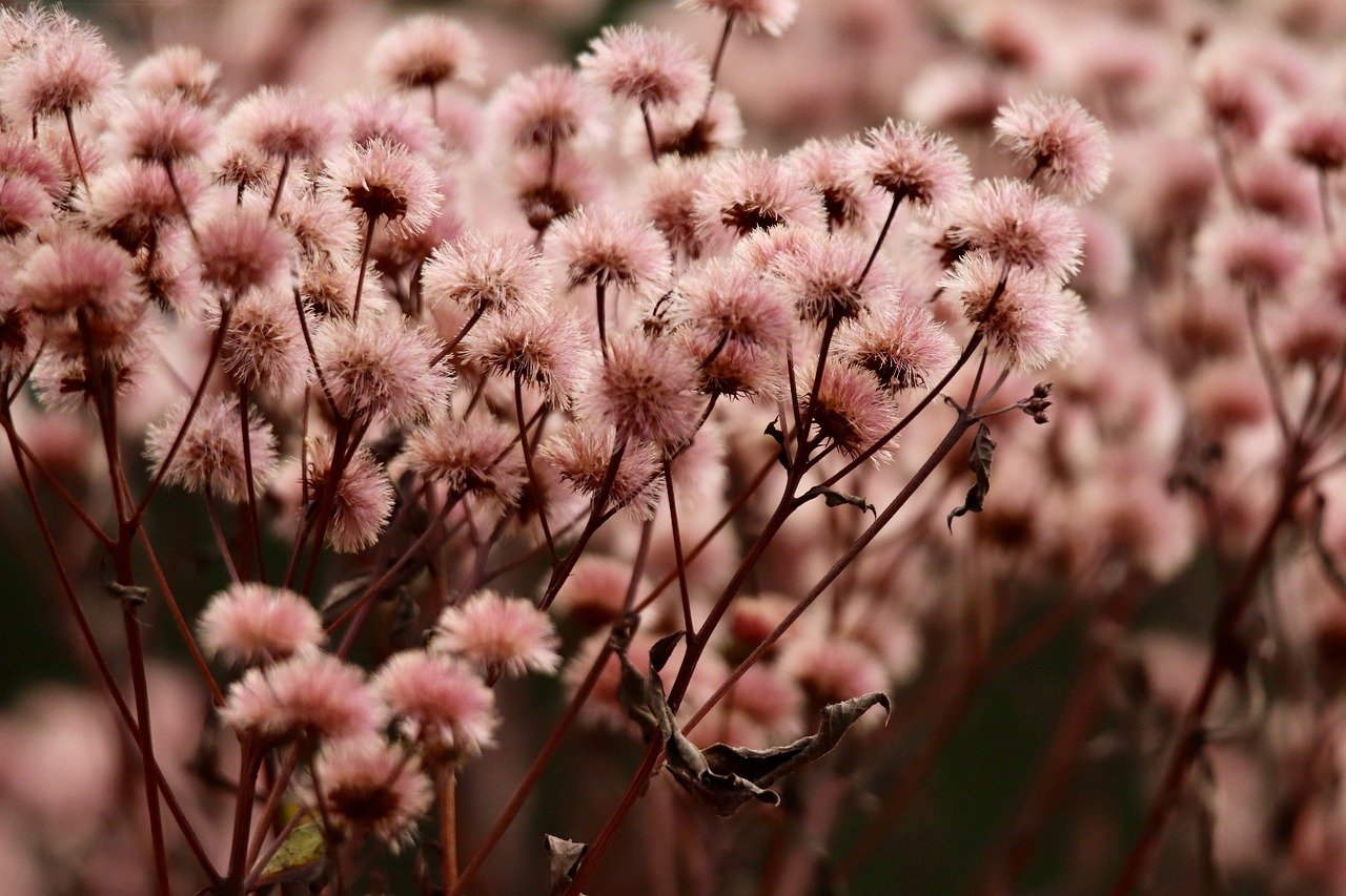 香烟税对社会和经济的影响